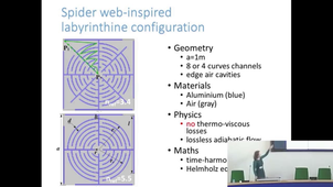 Spider web-inspired acoustic metamaterials for sound manipulation, by Anastasiia Krushynska (University of Turin)