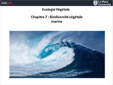 Écologie Végétale - Chapitre 7 : Biodiversité végétale marine