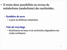Biochimie_L3_Nucleotides