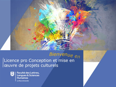 Licence professionnelle parcours Conception et mise en oeuvre de projets culturels (présentiel)