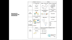 Mise à niveau Biologie_Vidéo5_Classification des biomolécules