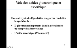 05 Autre voie de dégradation du glucose.mp4