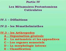 Partie 4.3 - Les métazoaires protostomiens cuticulates - Les arthropodes I