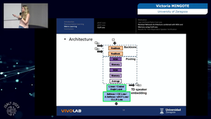 Representation and Metric Learning Advances for Face and Speaker Biometric Systems