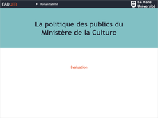 Évaluation : La politique des publics du Ministère de la Culture
