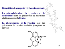 9- Biosynthèse de dérivés d'acides aminés