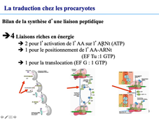 3e vidéo Traduction chez les procaryotes.mp4