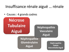 6-4 Insuffisance rénale aigüe (indispensables).mp4