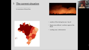 Amazion forest fires