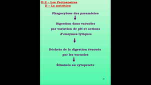 Partie 2.2 - Les protozoaires et les métazoaires simples -  Les protozoaires II