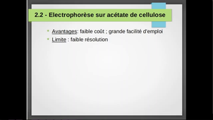 GB1 - Electrophorèse - Vidéo 2