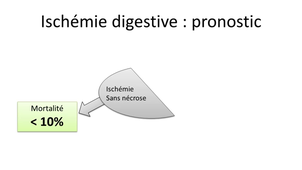 5-6 Ischémie digestive (indispensables).mp4