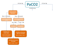 Gazométrie artérielle (pour comprendre) 17 mn.mp4