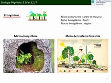 Introduction pré-requis Chapitre 1 Ecologie Végétale