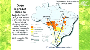 Le Brésil, pays émergent ? (Carrefours de la pensée, 2015)