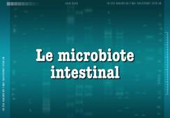 Le rôle du microbiote intestinal