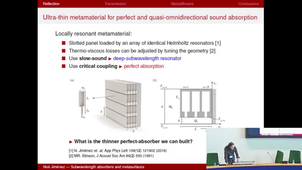 Subwavelength absorbers and metasurfaces, Plenary Lecture by Noé Jiménez (Laboratoire d’Acoustique de l’Université du Maine, UMR 6613 CNRS)