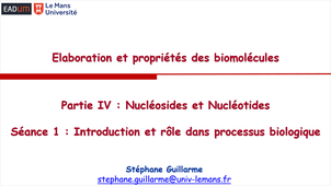 Chapter 4: Nucleosides and Nucleotides - Séance 1 : Introduction et rôle dans processus biologique