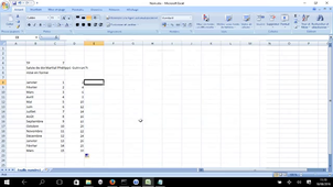 Excel - TOSA 2 Saisie et importation des données