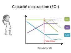 2 Physiopathologie des états de choc (pour comprendre).mp4