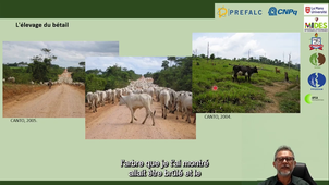 3 – Principales activités économiques responsables des grandes transformations en Amazonie brésilienne 2/4